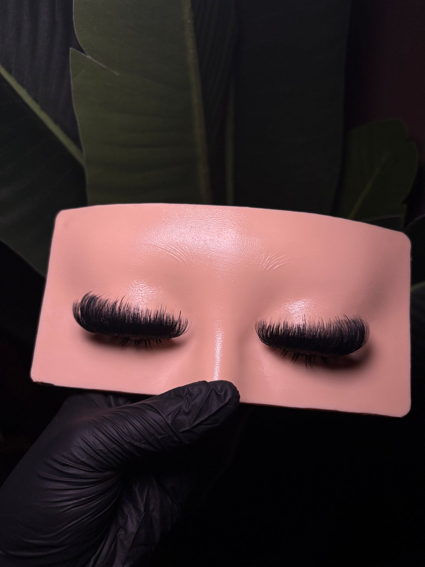 Wispy Volume Freestyle