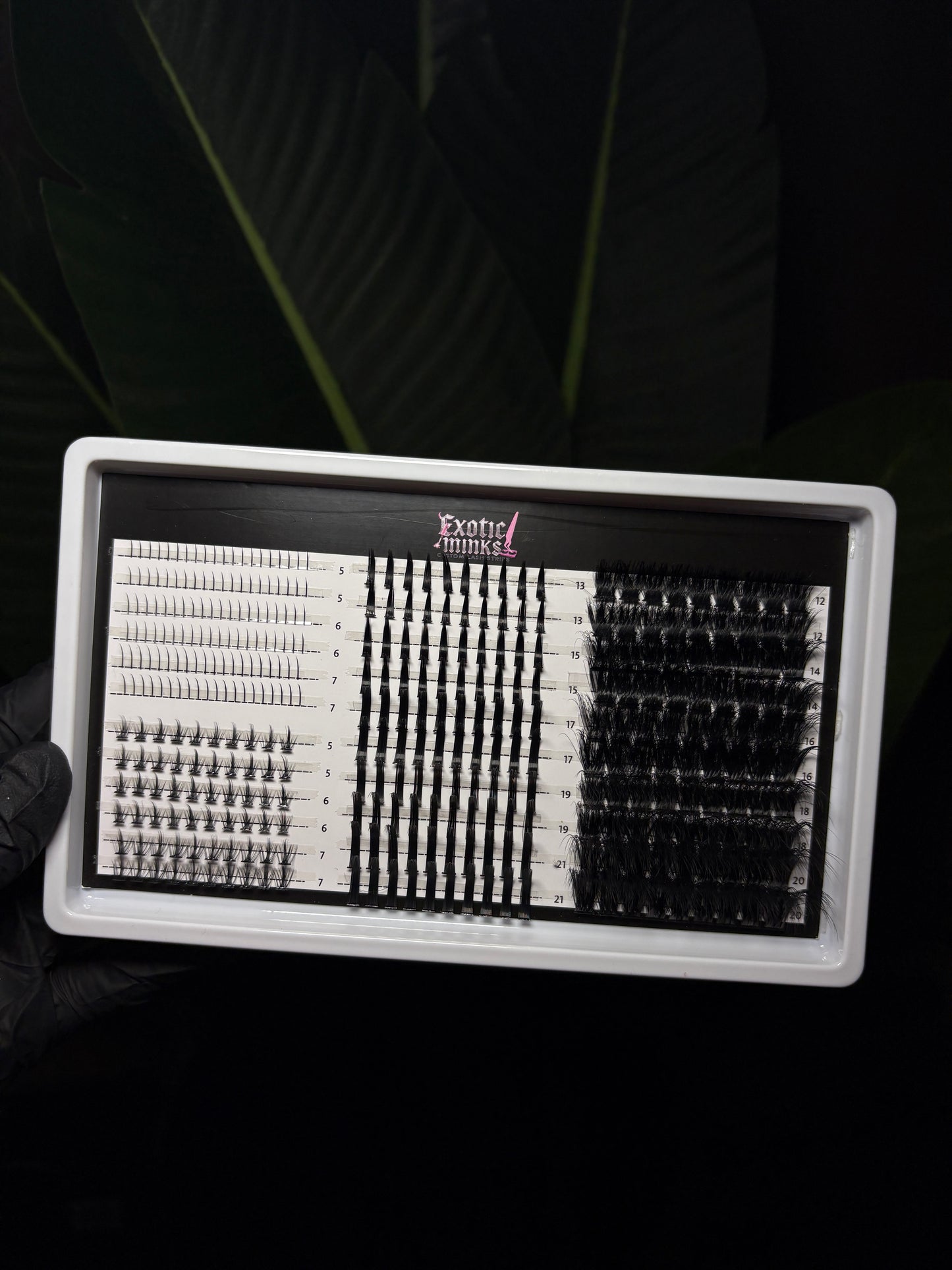 XL Lash Cluster Kit