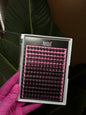 Money Maker Cluster Lash Lit